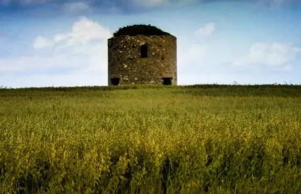 Фото: Damien Walsh / www.flickr.com