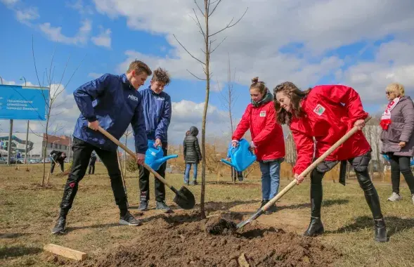 Пасадка дрэў у Ленінскім раёне Мінска / Ілюстратыўнае фота &quot;Мінск-Навіны&quot;