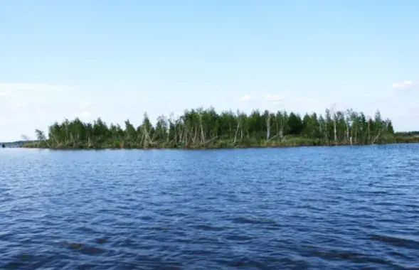 На верхнядзвінскага нападніка пачалі справу за замах на забойства міліцыянтаў