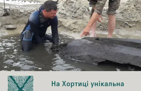 Гэтай лодцы можа быць 300-500 гадоў / фота Нацыйнага запаведніка Хорціца ва Украіне
