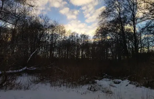 Зіма ў Беларусі / Еўрарадыё
