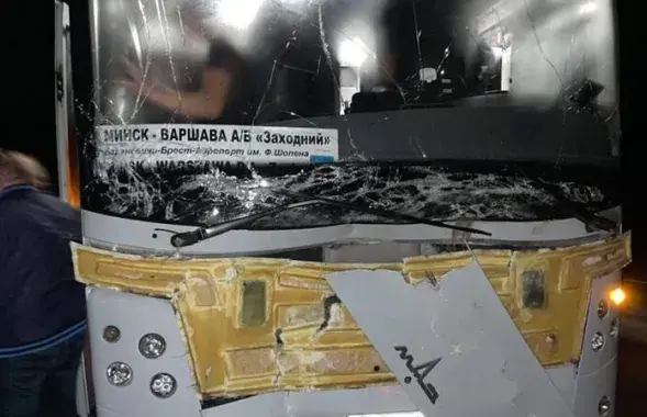 Автобус сбил лося под Барановичами / nashkraj.by
