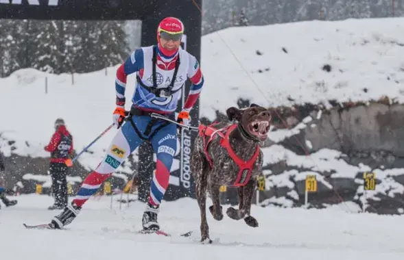 Фото: facebook.com/OleEinarBjoerndalen/