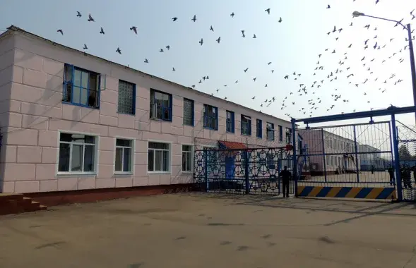 Бабруйская калонія, дзе адбывае свой тэрмін Давід Збаранскі / фота з сацсетак