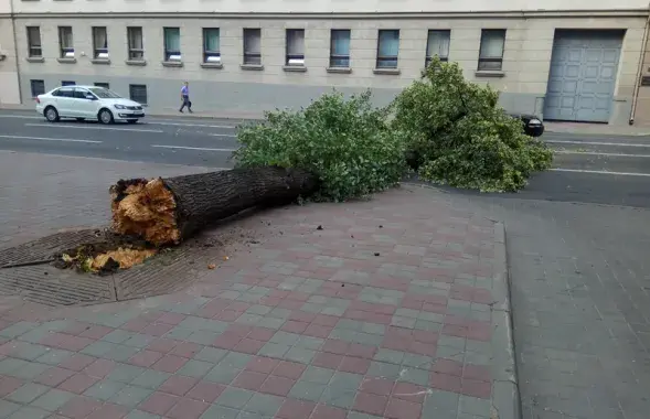 Фота