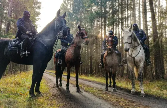 Всадники из полиции / twitter.com/podlaskaPolicja