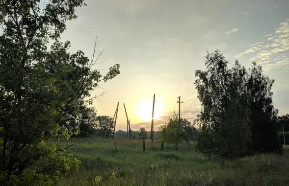 Белорусский лес