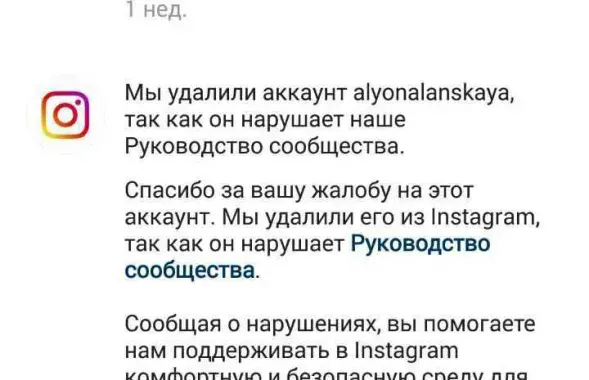 Так выглядит сейчас аккаунт Ланской в Instagram / @belsat​