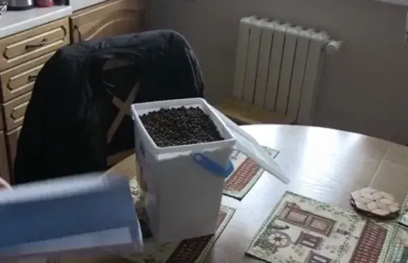 Ведро с собачьим кормом / кадр из видео​