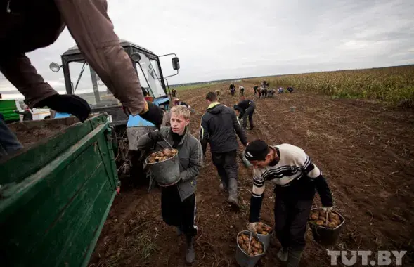 Як школе заплаціць 15 тысяч бацькам вучаніцы, якая загінула “на бульбе” 