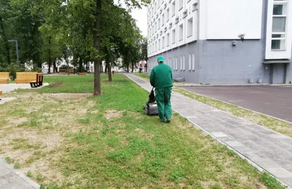 Лебяду скасілі газонакасілкай / Віктар Краўчук, Еўрарадыё