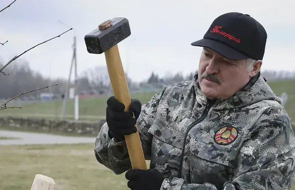 Александр Лукашенко / president.gov.by