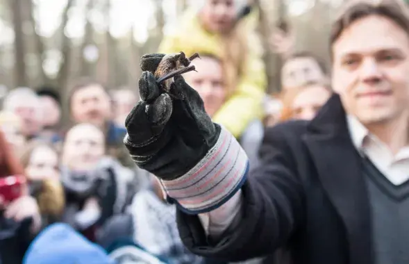 Супрацоўнік &quot;Аховы птушак Бацькаўшчыны&quot; Аляксей Шпак выпускае на волю кажаноў пасля зімовай спячкі, 2019 год / Еўрарадыё