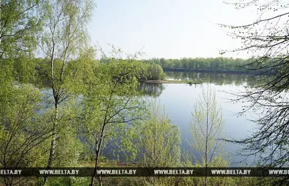 Фото: БЕЛТА