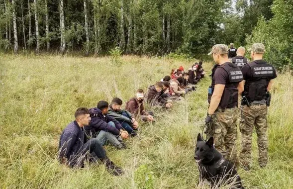 Польские пограничники задерживают мигрантов с территории Беларуси / strazgraniczna.pl