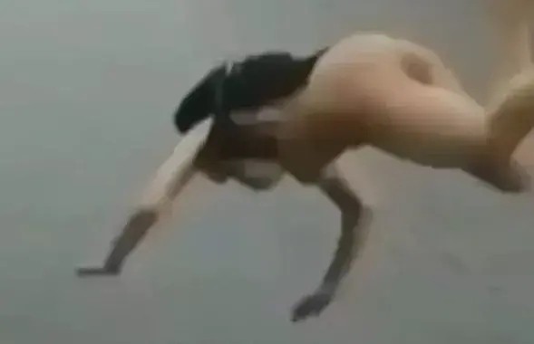 Скриншот с видео.