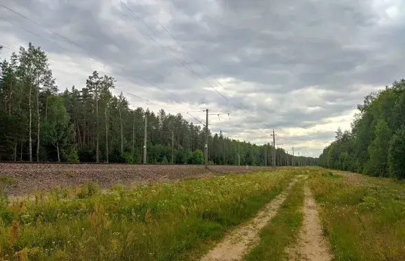 Лета ў Беларусі / Еўрарадыё