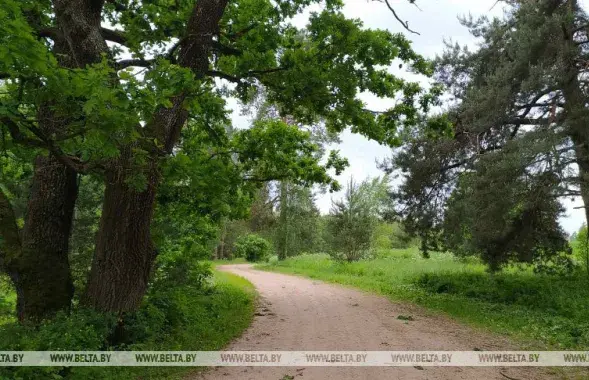 Во вторник в Беларуси будет до +36 / БЕЛТА​