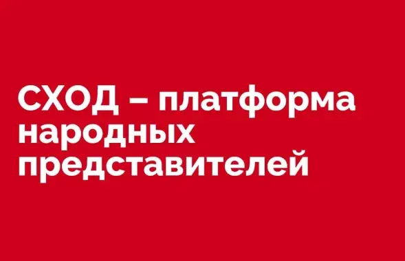 Платформа "Сход" попала в список экстремистских формирований​