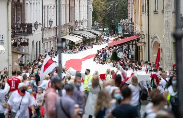 Цепь солидарности с Беларусью в Вильне / delfi.lt​