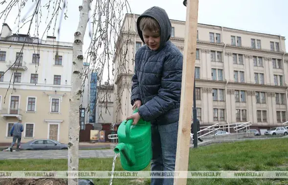 Субботник в Беларуси / БЕЛТА​