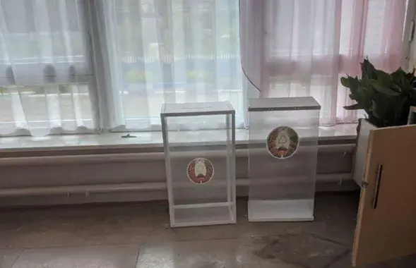 Празрыстыя скрыні на ўчастку ў Вялікіх Дольцах / Дар'я Данілава