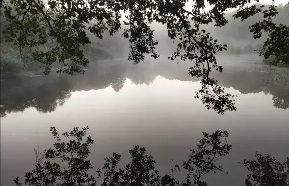 Туман у Беларусі, архіўнае фота