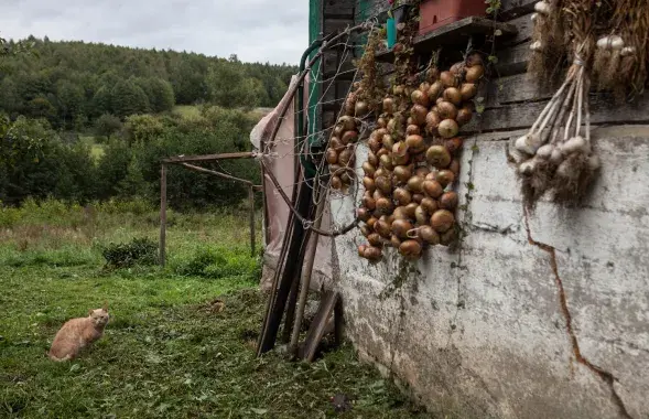 Осень в Беларуси