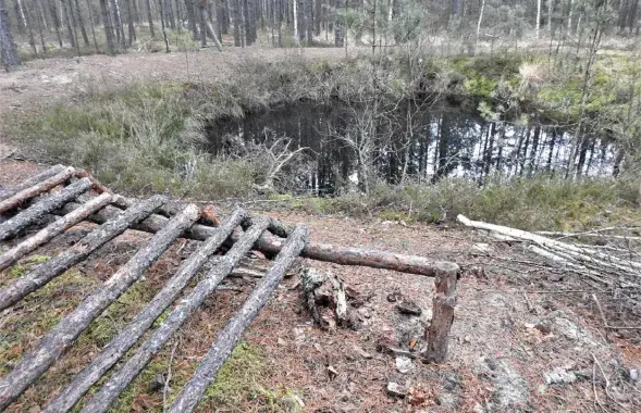 На Палессі