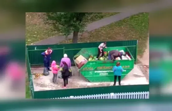 Арбузы на помойке в Гродно, кадр из видео