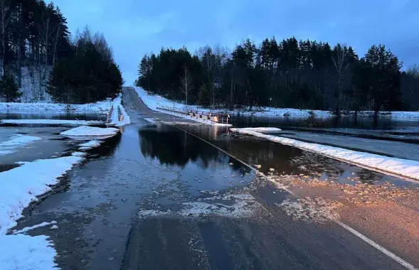 Это произошло в Славгородском и Чаусском районах&nbsp;