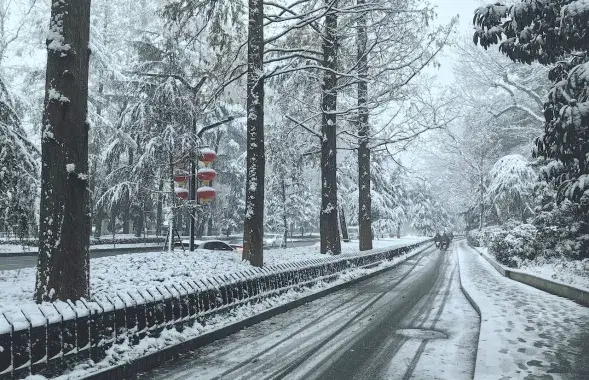 У Беларусі прагназуюць моцны вецер і галалёдзіцу