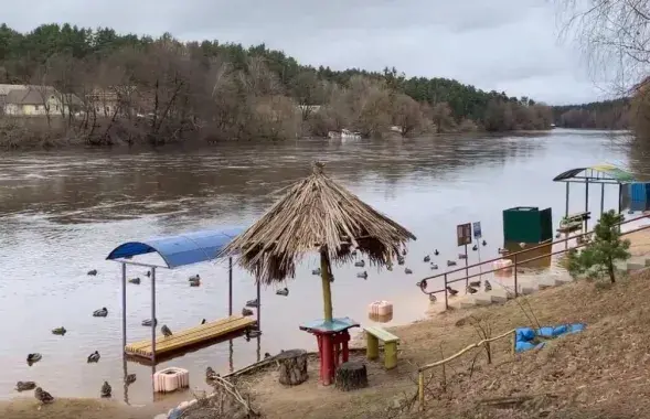 Паводка ў Гродне
