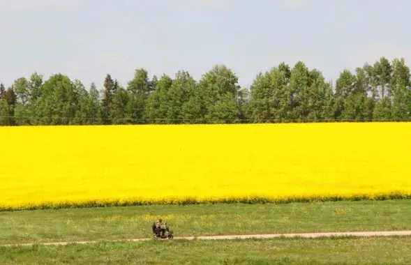 В мае в Беларуси
