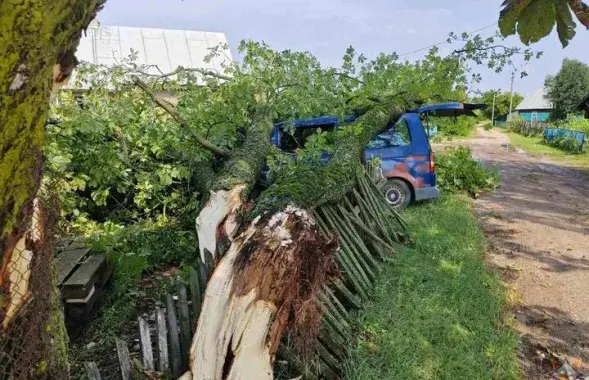 Последствия урагана в Беларуси
