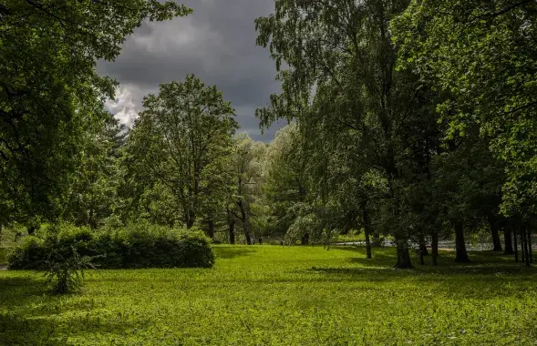 Перад навальніцай, ілюстрацыйнае фота
