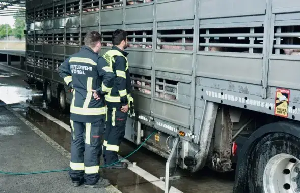 Обеспечить свиней водой помогли пожарные
