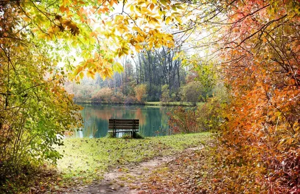 Кастрычнік, ілюстрацыйнае фота
