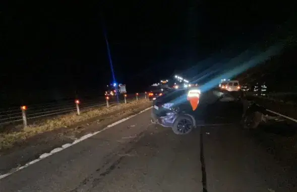 Маці ледзь не загубіла дачку
