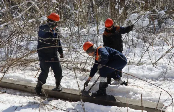 Энергетики в Осиповичском районе

