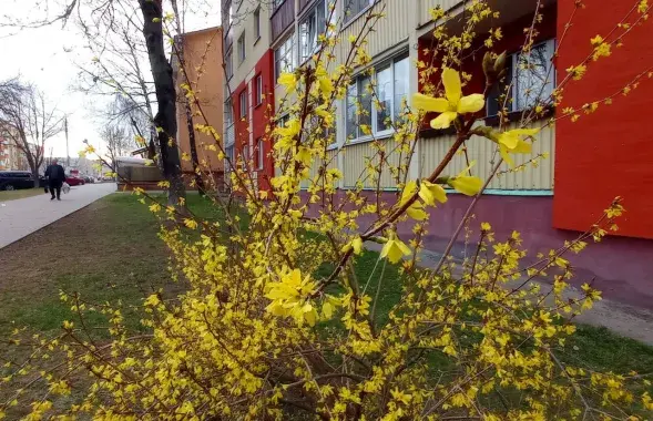 Вясна, ілюстрацыйнае фота
