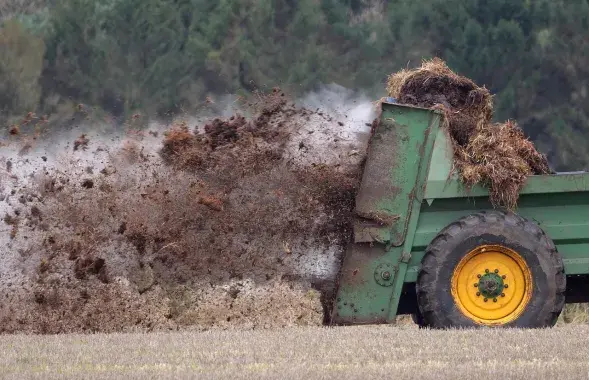 Угнаенні, ілюстрацыйнае фота
