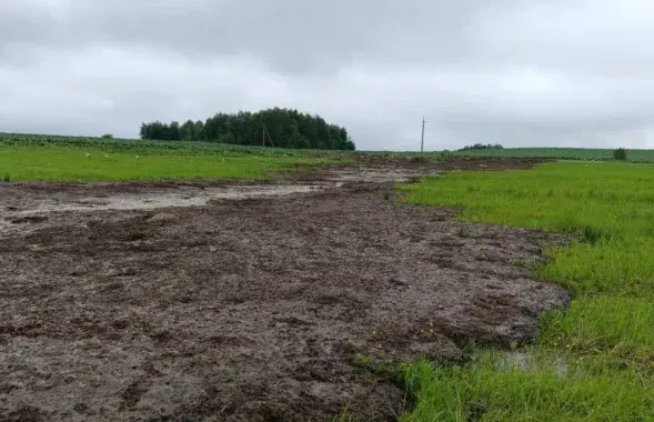 У рацэ Ятранцы ад сцёкаў гною загінула рыба
