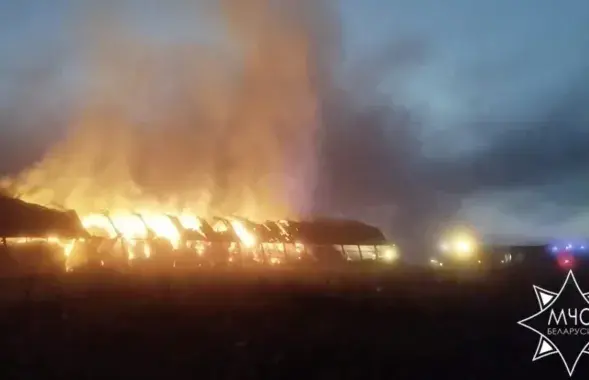 Пожар в Нарочи

