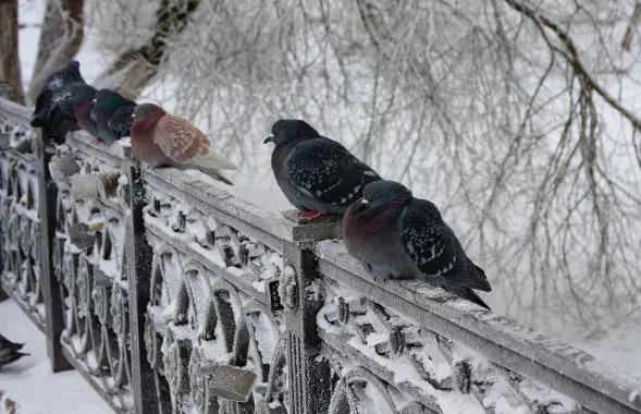 Погода в Беларуси
