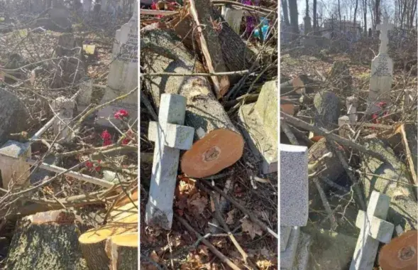 Тришинское кладбище после "уборки" депутатов
