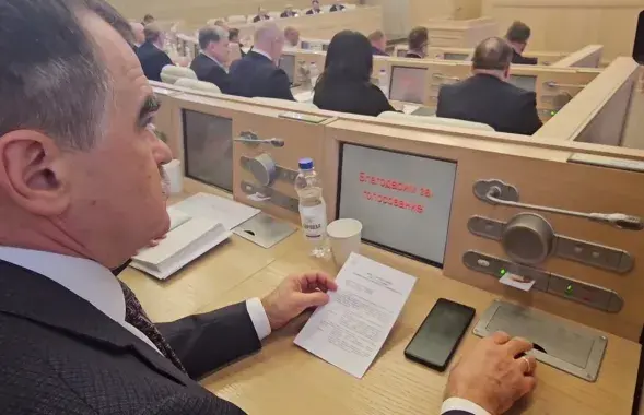 Голосование в Совете Республики
