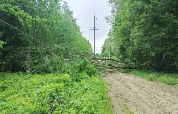 Наступствы стыхіі на Міншчыне
