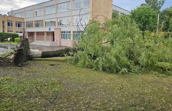 Наступствы непагадзі ў Бабруйску
