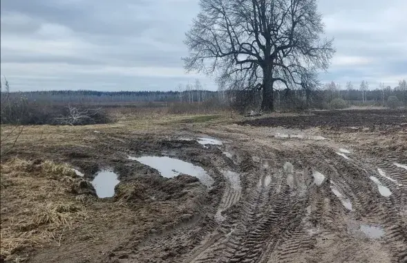 Так выглядела дорога до проверки Госконтроля
